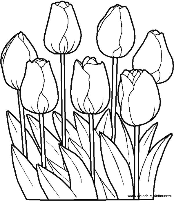 Coloring page: Flowers (Nature) #154985 - Free Printable Coloring Pages