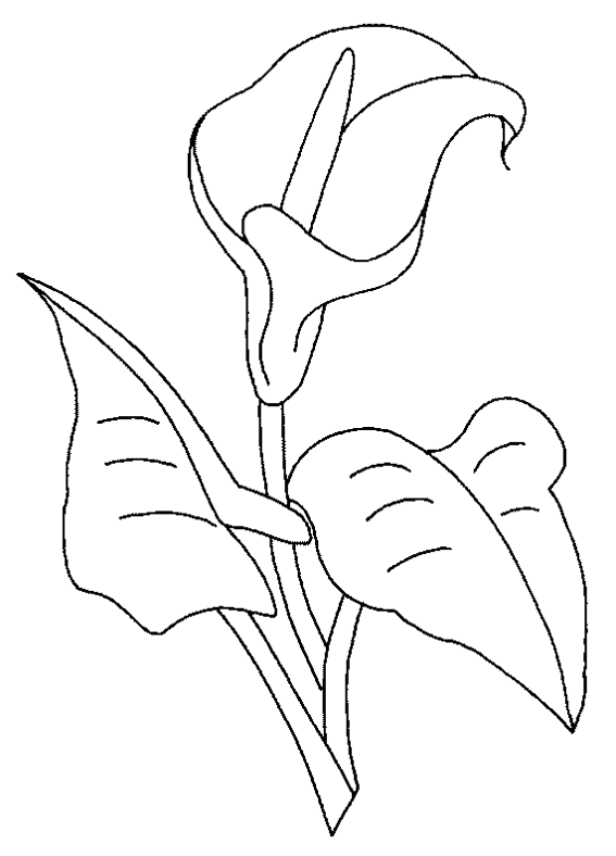 Coloring page: Flowers (Nature) #154989 - Free Printable Coloring Pages