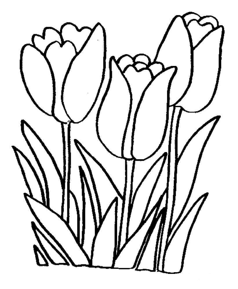 Coloring page: Flowers (Nature) #154991 - Free Printable Coloring Pages