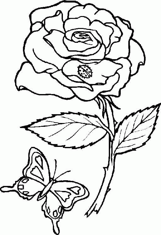 Coloring page: Flowers (Nature) #154996 - Free Printable Coloring Pages