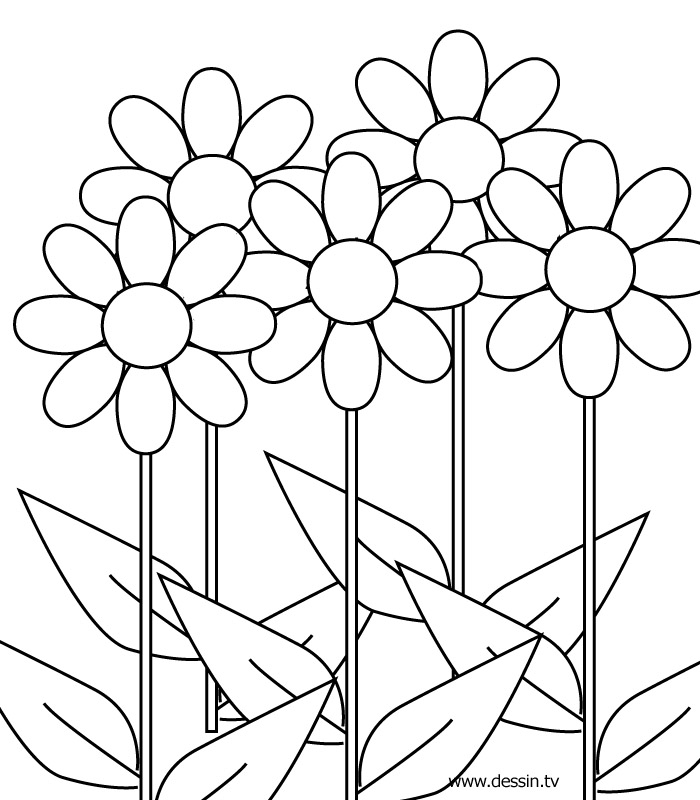 Coloring page: Flowers (Nature) #154997 - Free Printable Coloring Pages