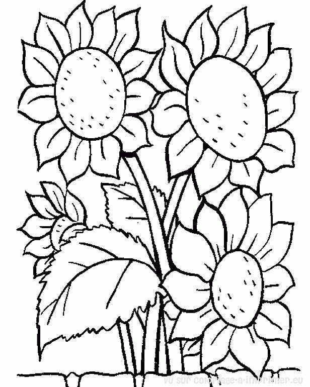 Coloring page: Flowers (Nature) #155000 - Free Printable Coloring Pages