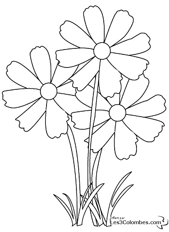 Coloring page: Flowers (Nature) #155003 - Free Printable Coloring Pages