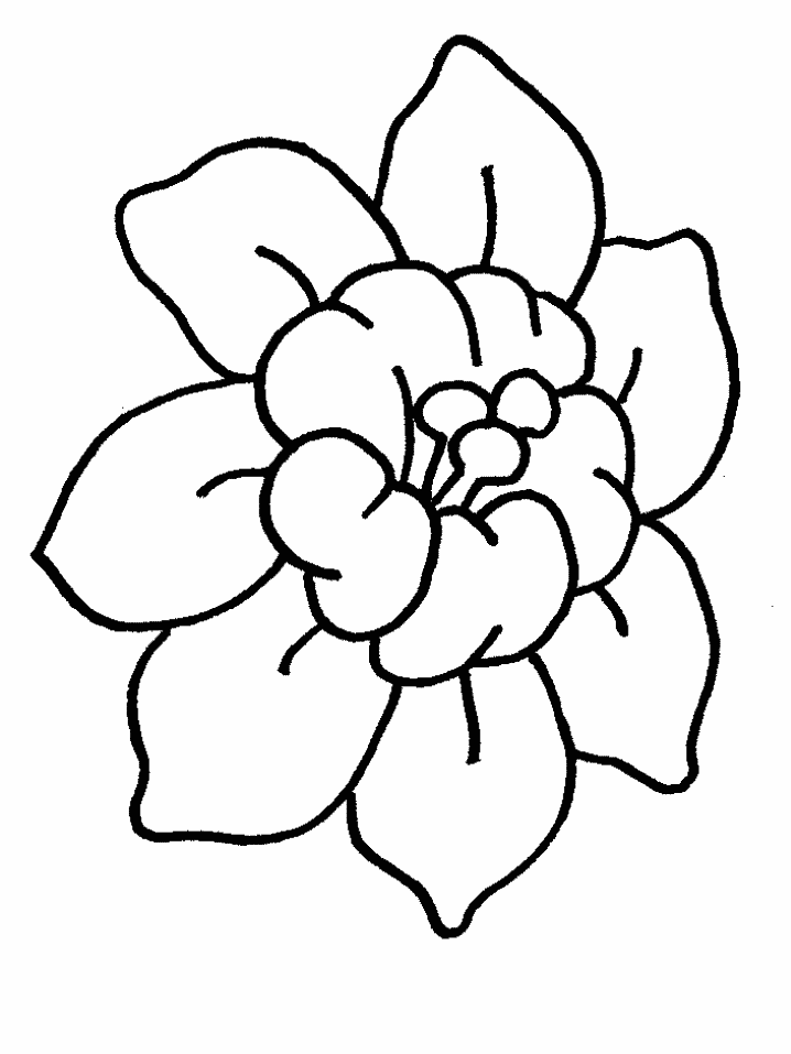 Coloring page: Flowers (Nature) #155010 - Free Printable Coloring Pages