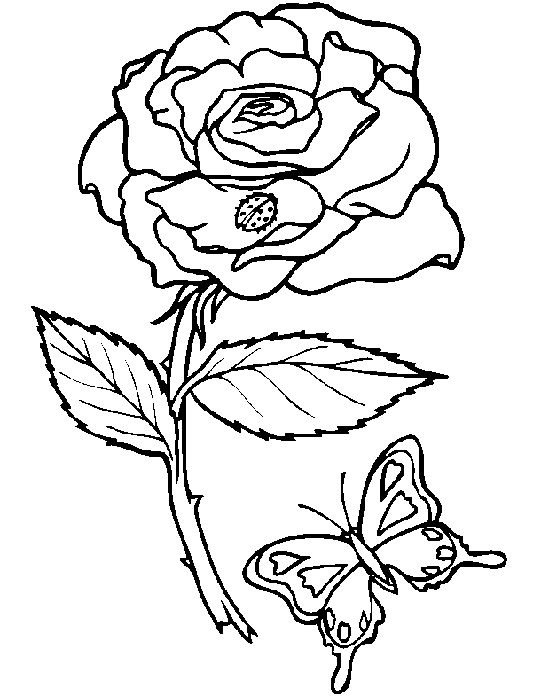 Coloring page: Flowers (Nature) #155018 - Free Printable Coloring Pages