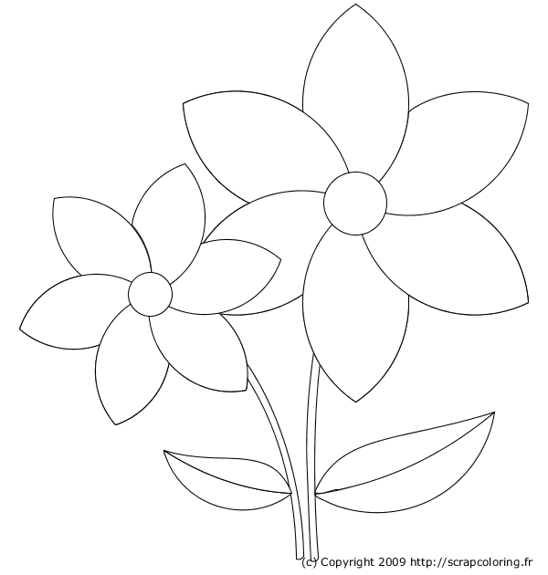 Coloring page: Flowers (Nature) #155040 - Free Printable Coloring Pages