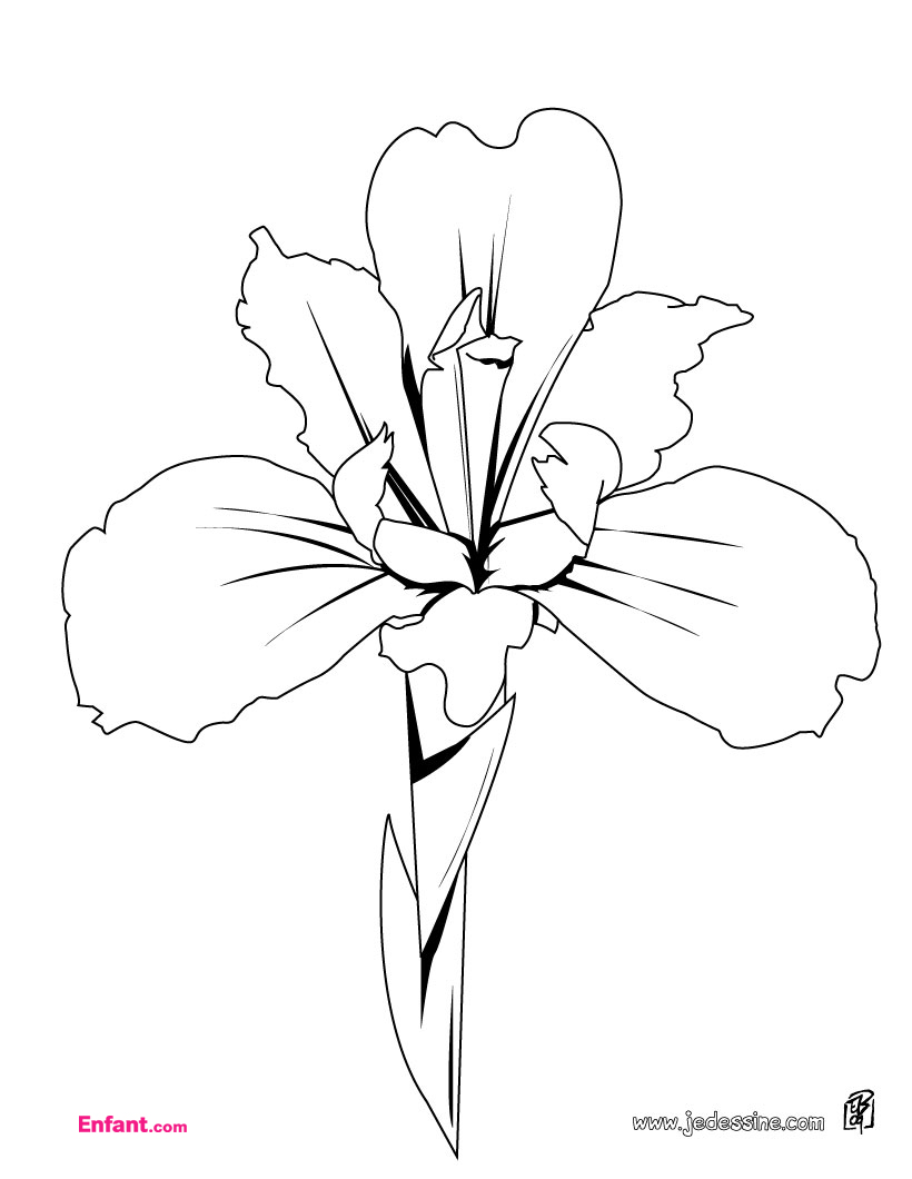 Coloring page: Flowers (Nature) #155064 - Free Printable Coloring Pages