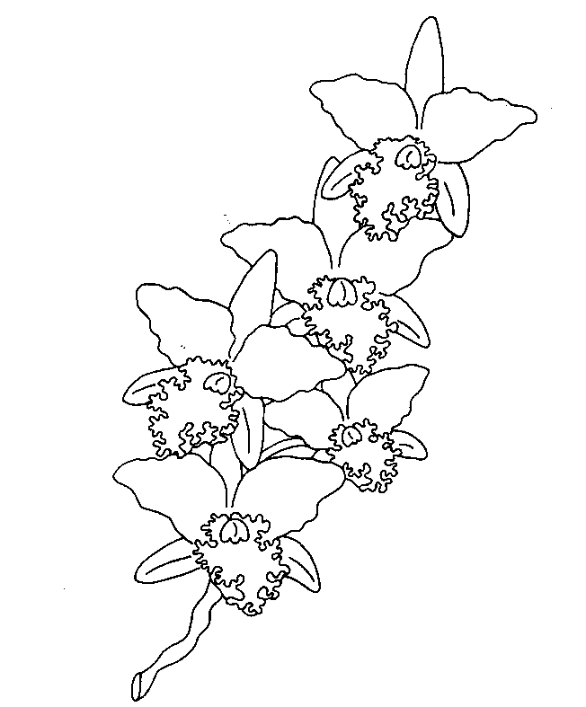 Coloring page: Flowers (Nature) #155073 - Free Printable Coloring Pages