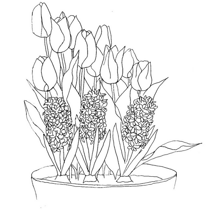 Coloring page: Flowers (Nature) #155078 - Free Printable Coloring Pages