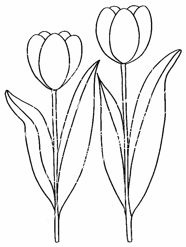 Coloring page: Flowers (Nature) #155080 - Free Printable Coloring Pages