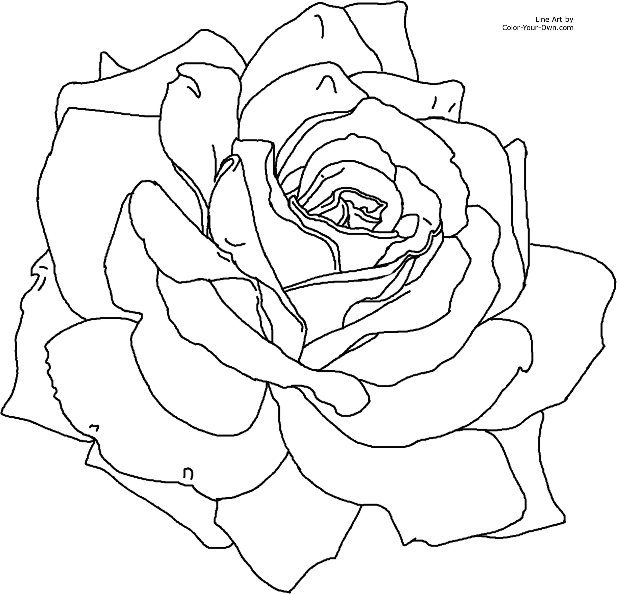 Coloring page: Flowers (Nature) #155098 - Free Printable Coloring Pages