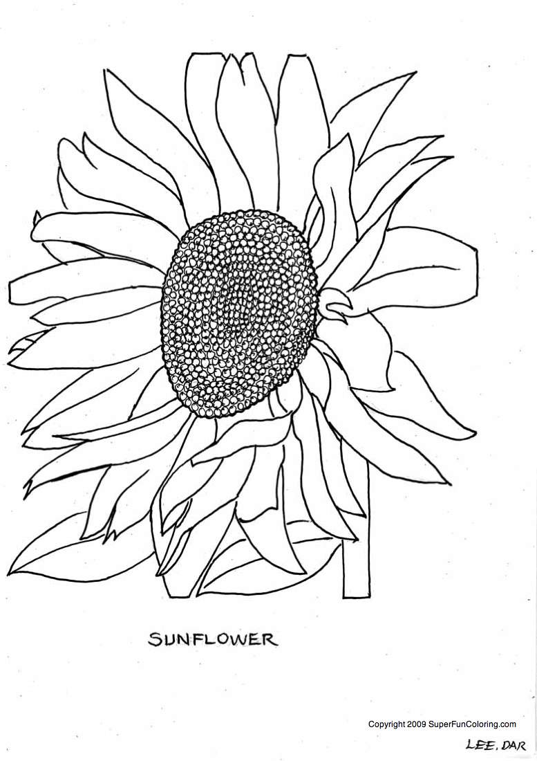 Coloring page: Flowers (Nature) #155121 - Free Printable Coloring Pages