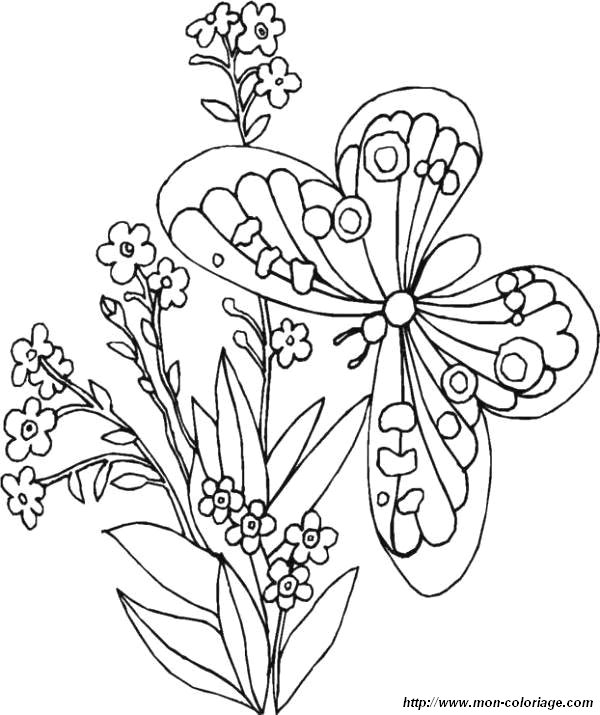 Coloring page: Flowers (Nature) #155125 - Free Printable Coloring Pages