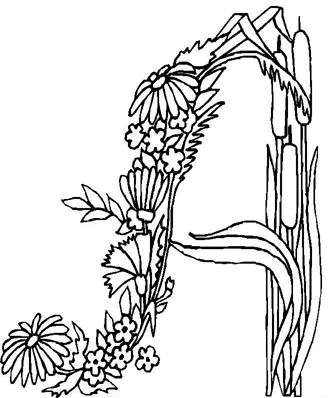Drawing Flowers #155127 (Nature) – Printable coloring pages