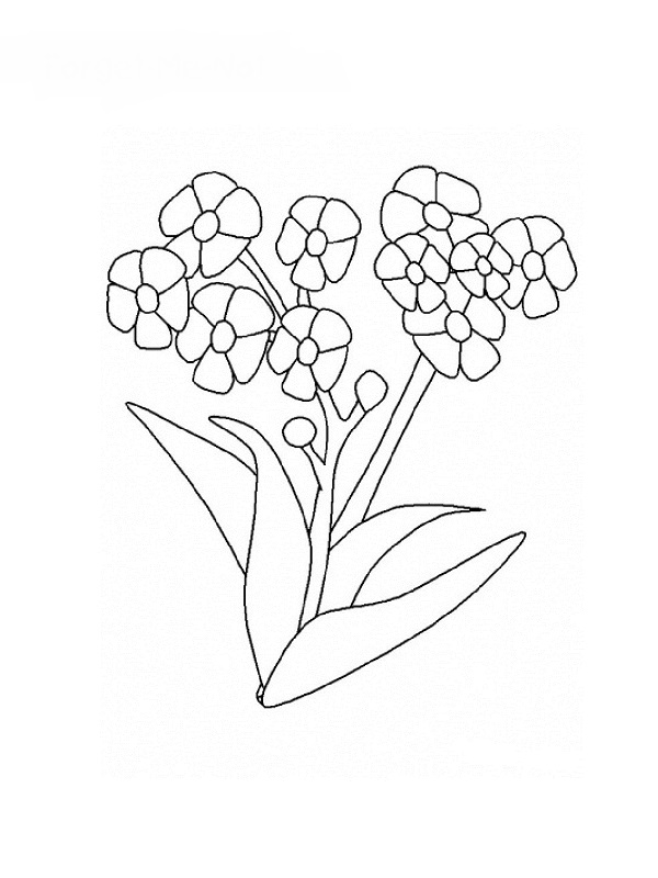 Coloring page: Flowers (Nature) #155128 - Free Printable Coloring Pages