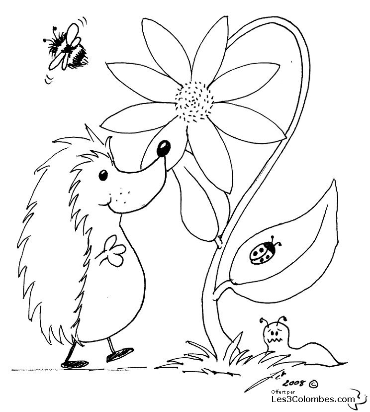 Coloring page: Flowers (Nature) #155133 - Free Printable Coloring Pages