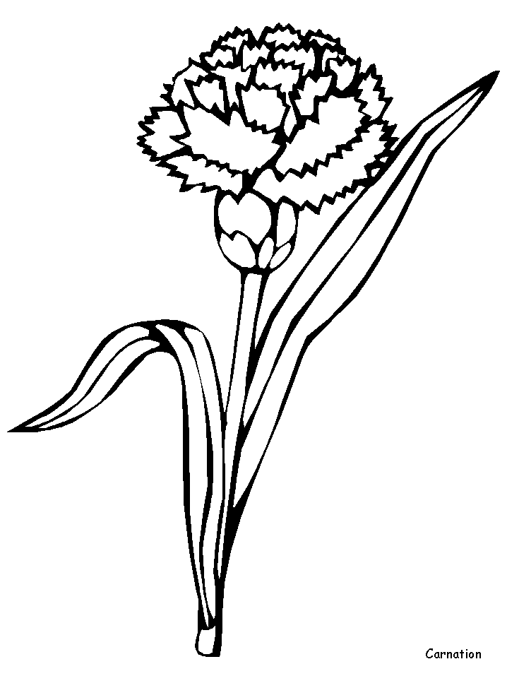 Coloring page: Flowers (Nature) #155180 - Free Printable Coloring Pages