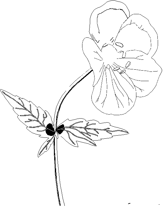 Coloring page: Flowers (Nature) #155182 - Free Printable Coloring Pages