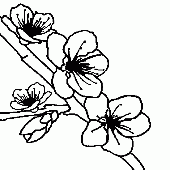 Coloring page: Flowers (Nature) #155191 - Free Printable Coloring Pages