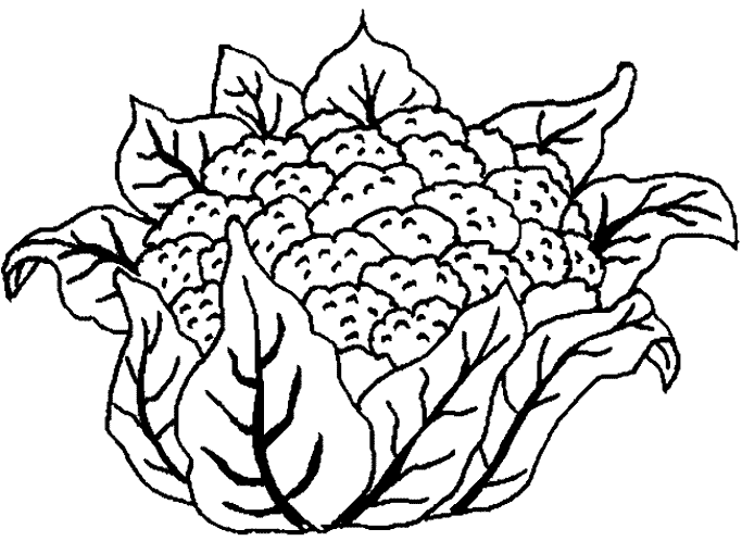 Coloring page: Flowers (Nature) #155194 - Free Printable Coloring Pages