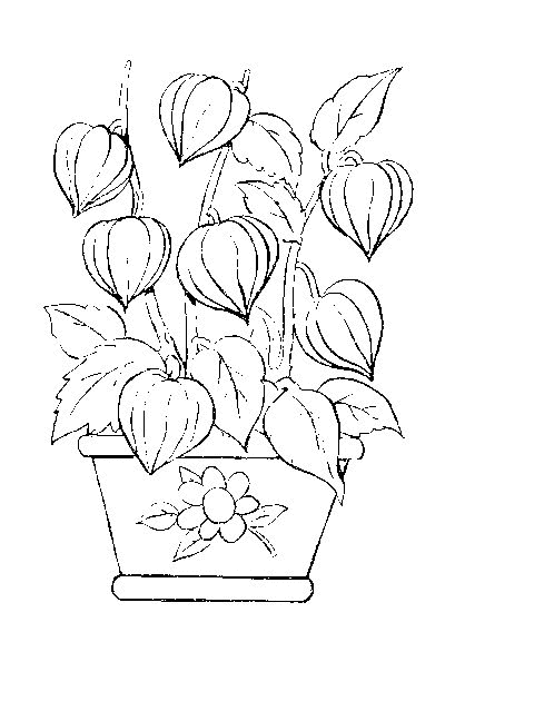 Coloring page: Flowers (Nature) #155208 - Free Printable Coloring Pages