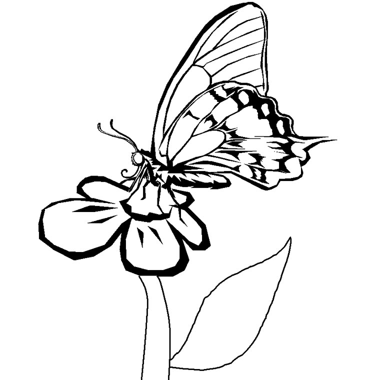 Coloring page: Flowers (Nature) #155241 - Free Printable Coloring Pages