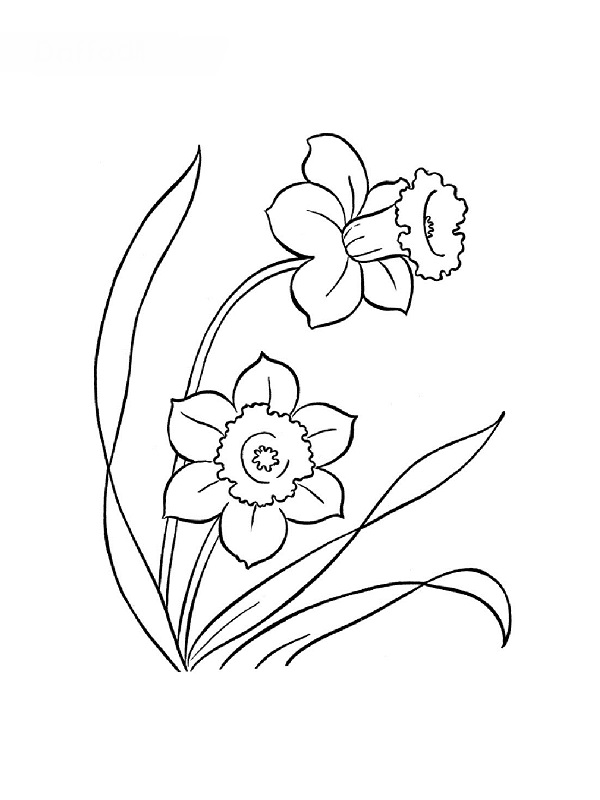 Coloring page: Flowers (Nature) #155250 - Free Printable Coloring Pages
