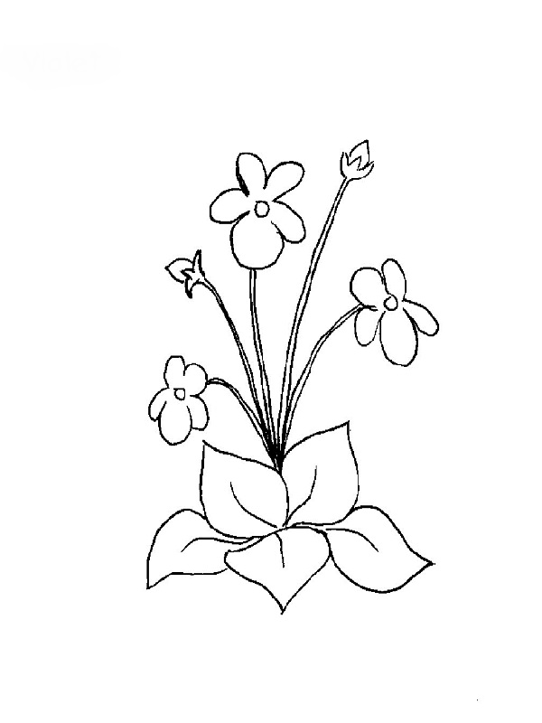 Coloring page: Flowers (Nature) #155252 - Free Printable Coloring Pages