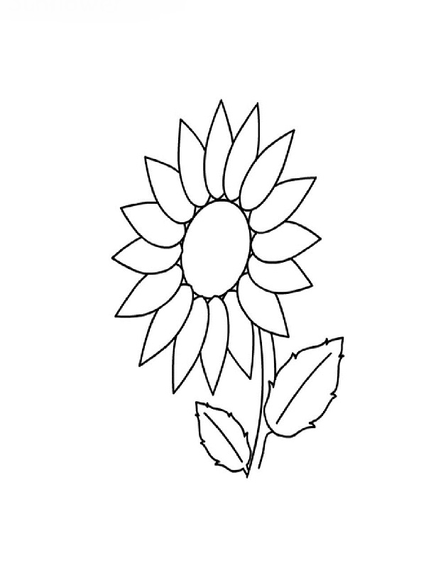 Coloring page: Flowers (Nature) #155254 - Free Printable Coloring Pages