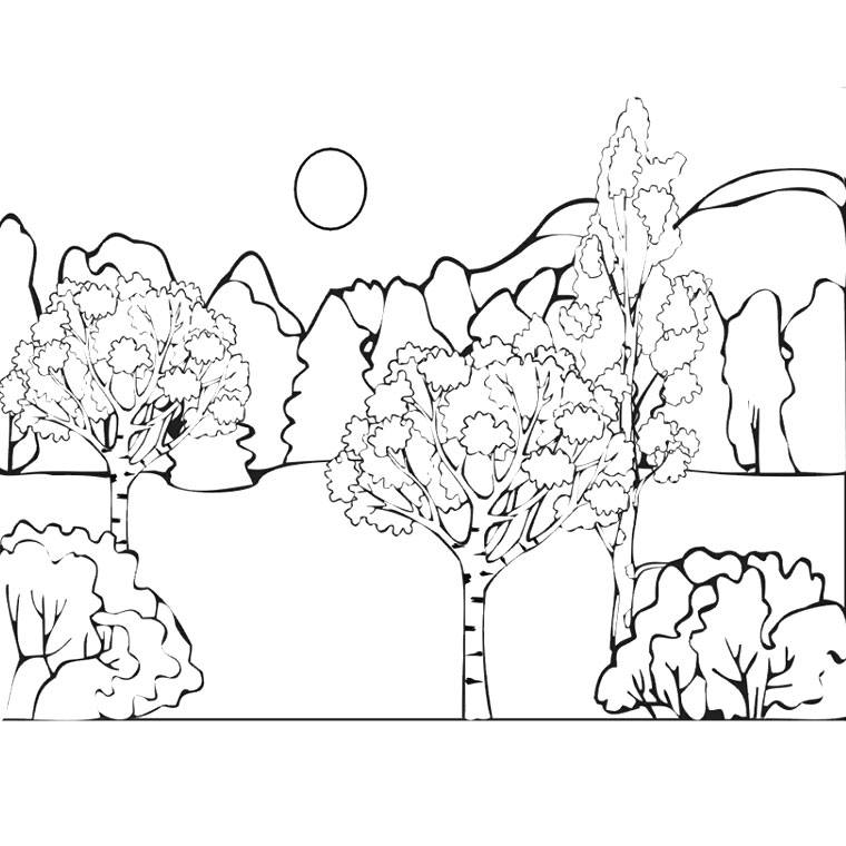 Coloring page: Forest (Nature) #157059 - Free Printable Coloring Pages