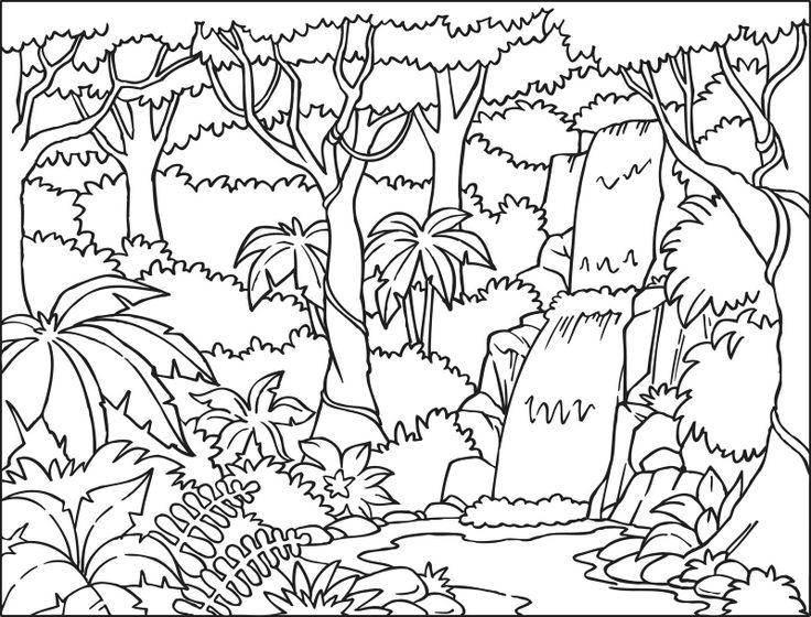 Coloring page: Forest (Nature) #157061 - Free Printable Coloring Pages