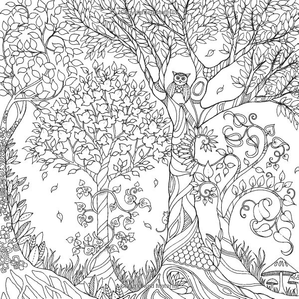 enchanted forest coloring page
