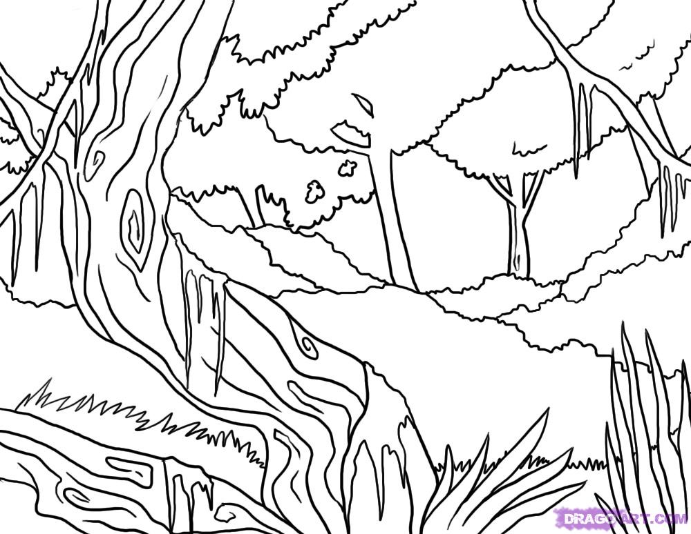 Coloring page: Forest (Nature) #157202 - Free Printable Coloring Pages