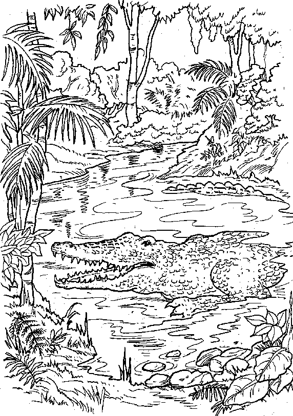 Coloring page: Forest (Nature) #157236 - Free Printable Coloring Pages