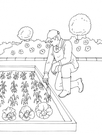 Coloring page: Garden (Nature) #166357 - Free Printable Coloring Pages