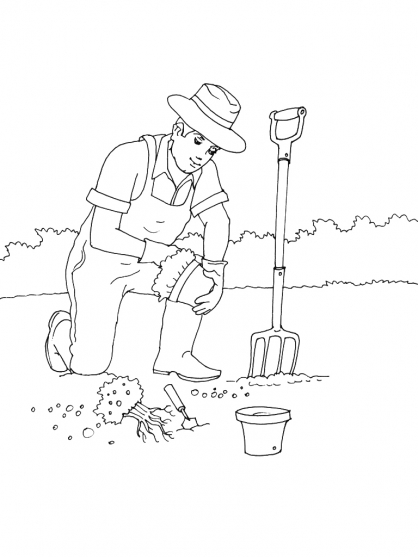 Coloring page: Garden (Nature) #166366 - Free Printable Coloring Pages