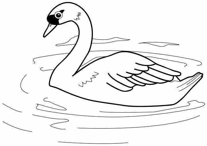Coloring page: Lake (Nature) #166070 - Free Printable Coloring Pages