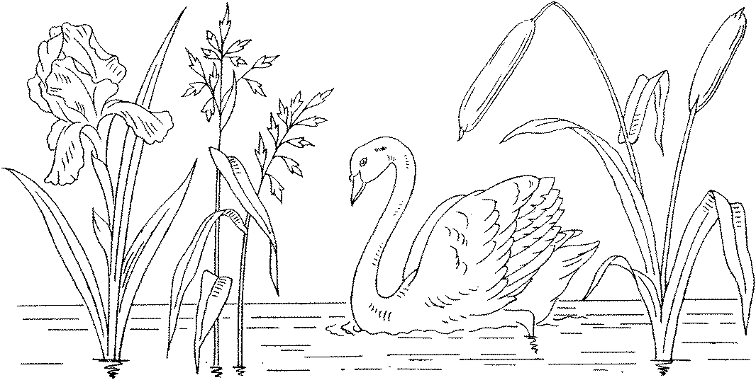 Coloring page: Lake (Nature) #166100 - Free Printable Coloring Pages