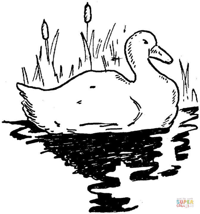 Coloring page: Lake (Nature) #166126 - Free Printable Coloring Pages