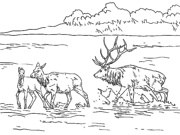 Coloring page: Lake (Nature) #166158 - Free Printable Coloring Pages
