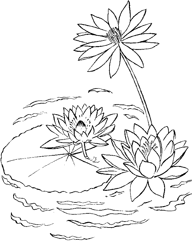 Coloring page: Lake (Nature) #166200 - Free Printable Coloring Pages