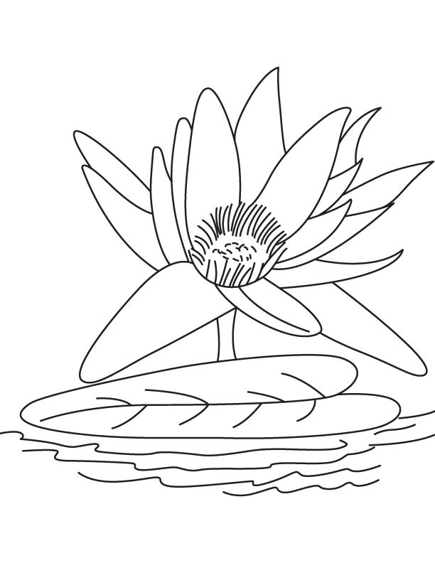 Coloring page: Lake (Nature) #166220 - Free Printable Coloring Pages