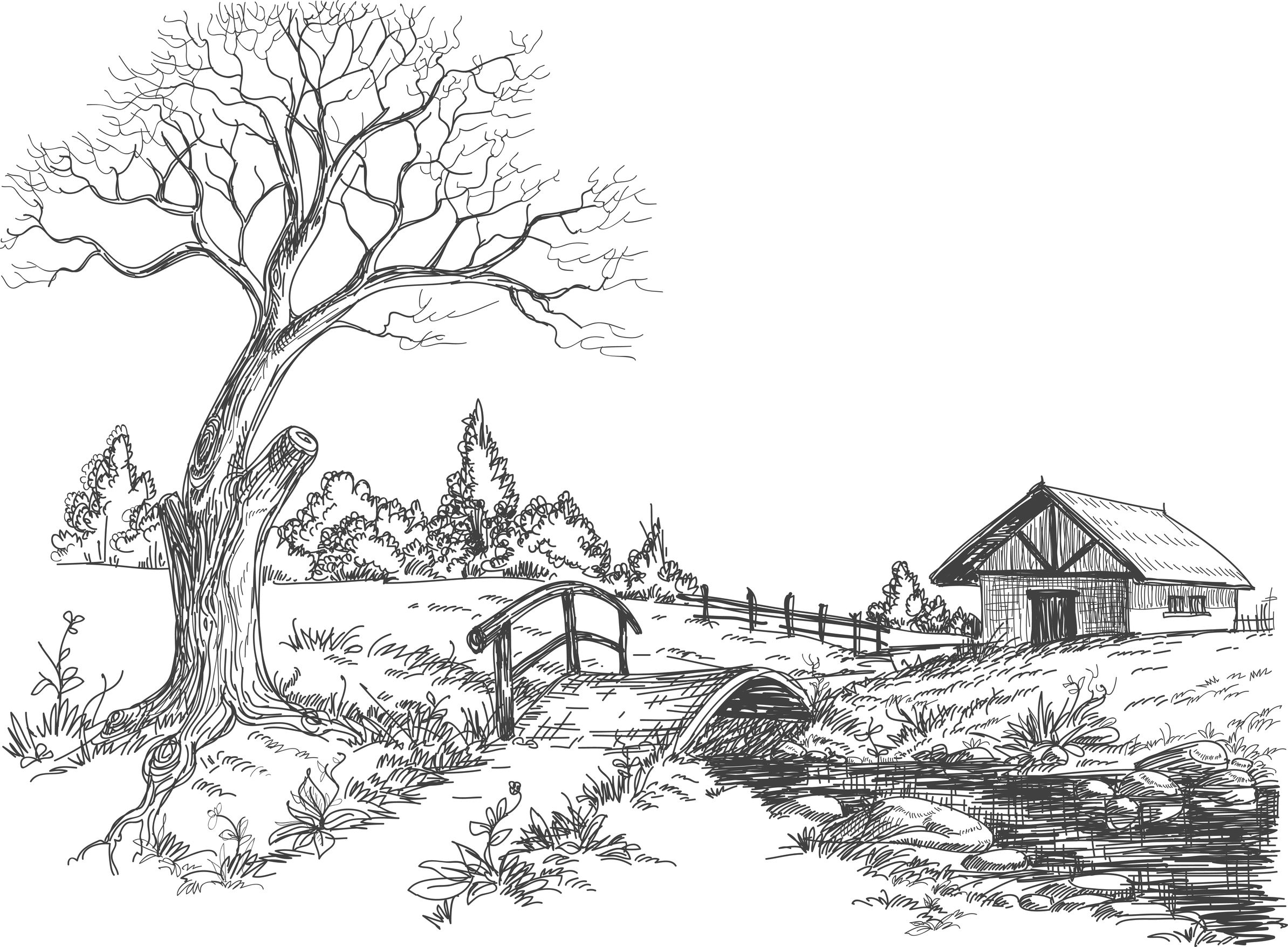 coloring-page-landscape-165765-nature-printable-coloring-pages