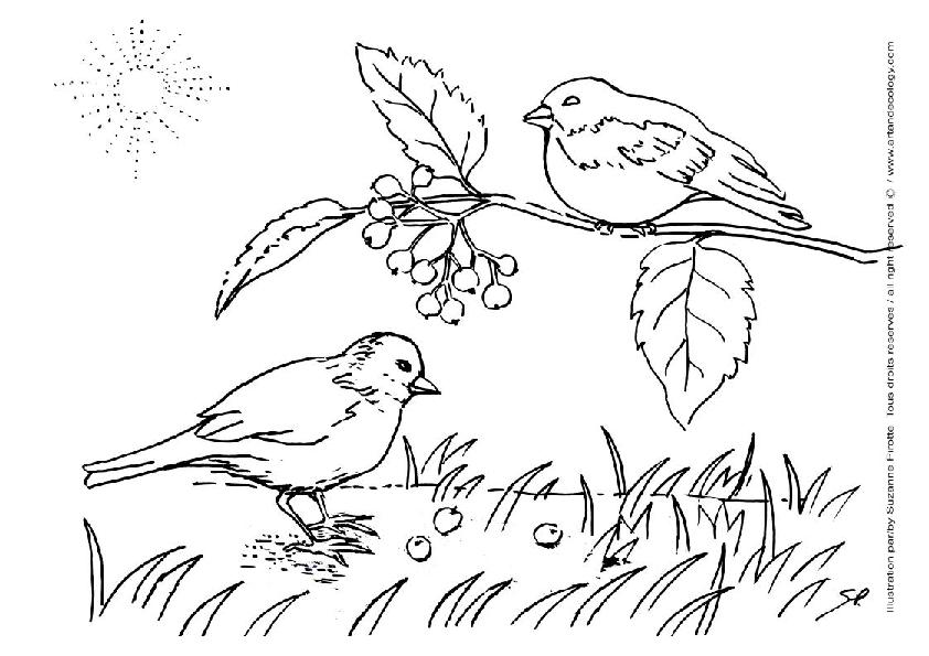 Coloring page: Landscape (Nature) #165770 - Free Printable Coloring Pages