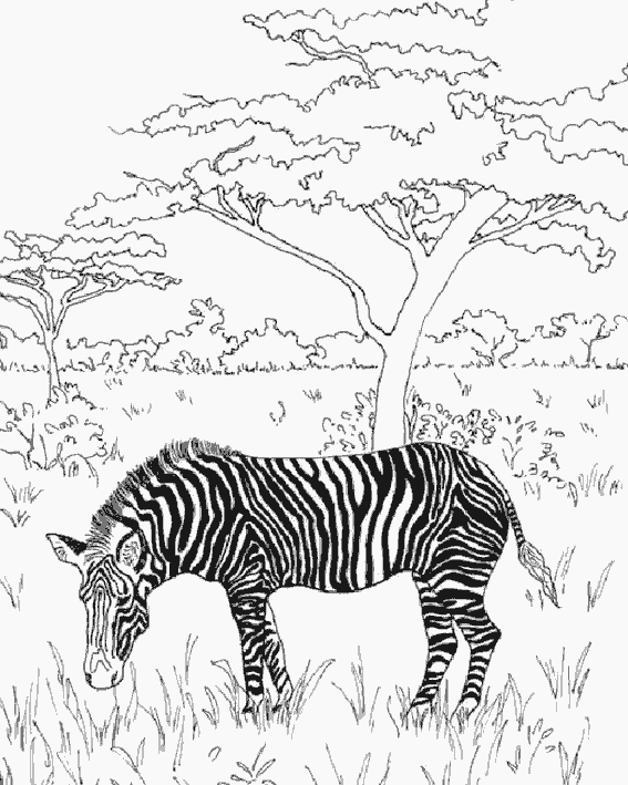 Coloring page: Landscape (Nature) #165837 - Free Printable Coloring Pages