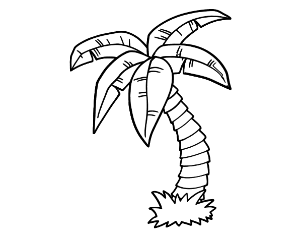 Coloring page: Palm tree (Nature) #161120 - Free Printable Coloring Pages