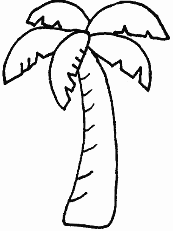 Coloring page: Palm tree (Nature) #161127 - Free Printable Coloring Pages