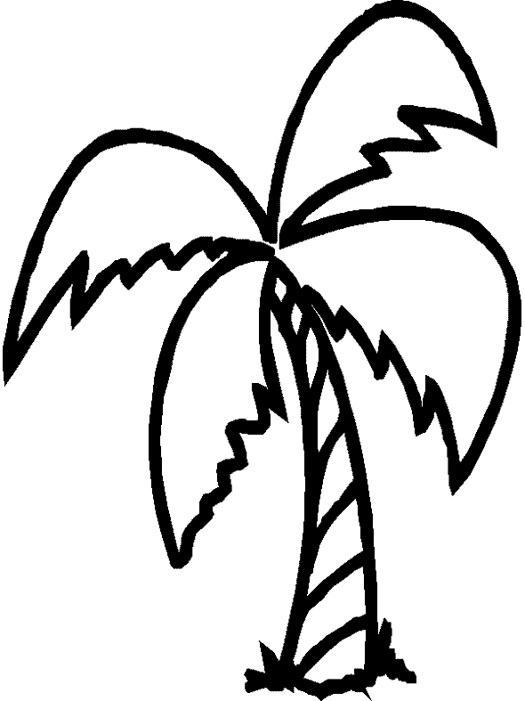 Coloring page: Palm tree (Nature) #161128 - Free Printable Coloring Pages