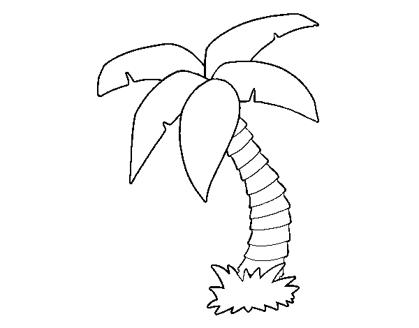 Coloring page: Palm tree (Nature) #161130 - Free Printable Coloring Pages