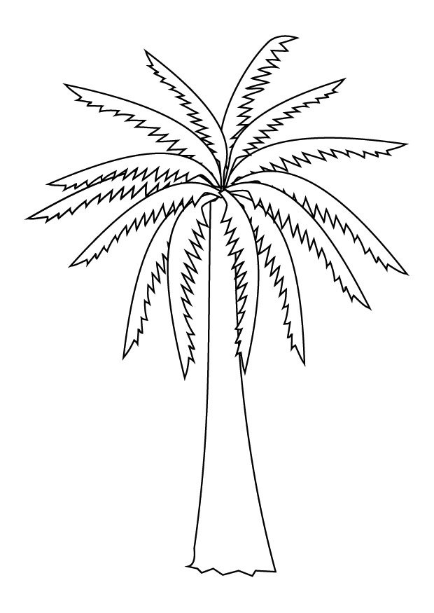 Coloring page: Palm tree (Nature) #161137 - Free Printable Coloring Pages